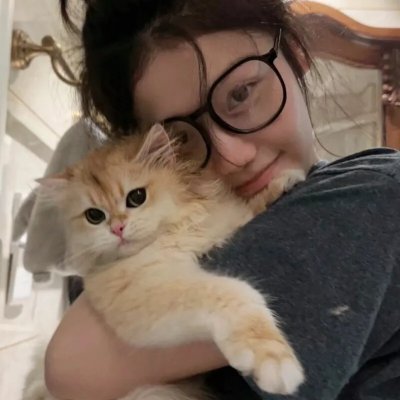 情来.算尽爱