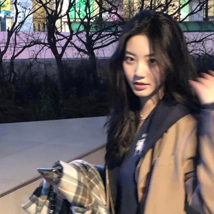 这不应发生在兽医身上